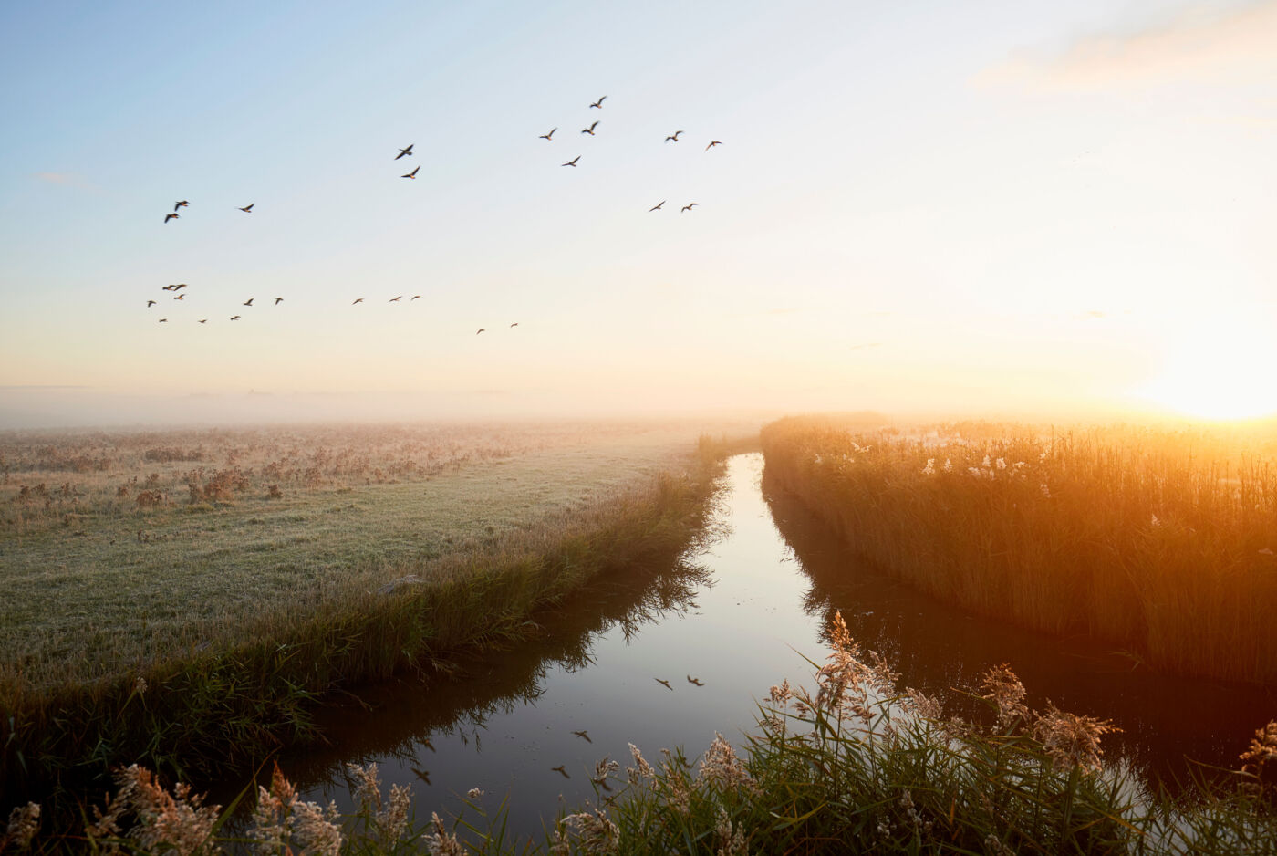 Flusslandschaft im Morgennebel mit sanften Lichtstrahlen der aufgehenden Sonne, Vögel ziehen über den Himmel.