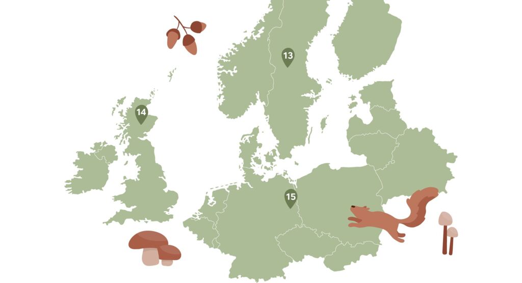Europakarte mit Stecknadeln an den Orten Dalarna in Schweden, Cairngorms-Nationalpark in Schottland und Spreewald in Deutschland.